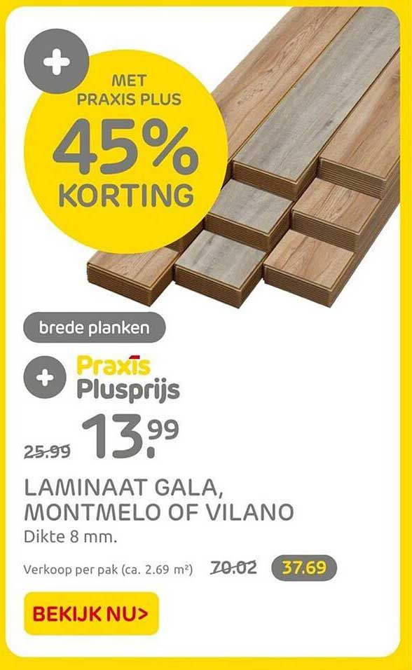 Laminaat Gala Montmelo Of Vilano Aanbieding Bij Praxis 1Folders Nl