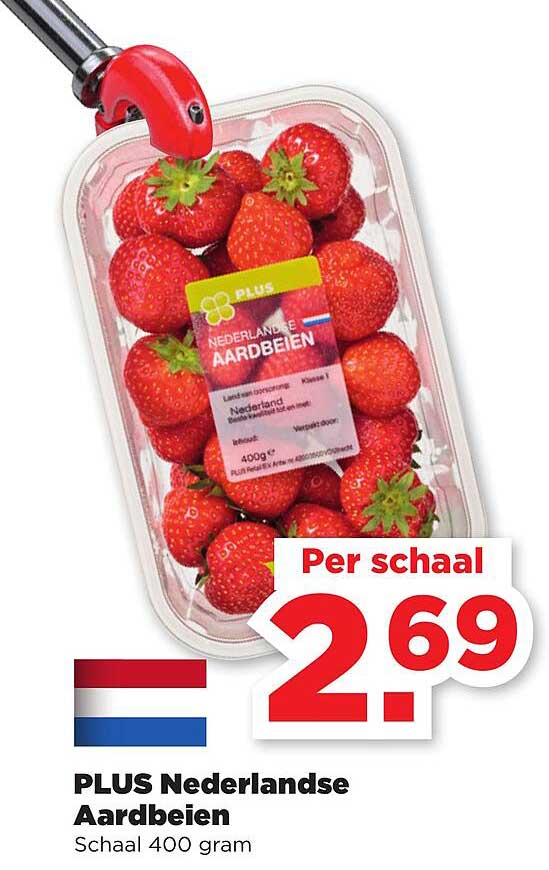 Plus Nederlandse Aardbeien Aanbieding Bij PLUS 1Folders Nl