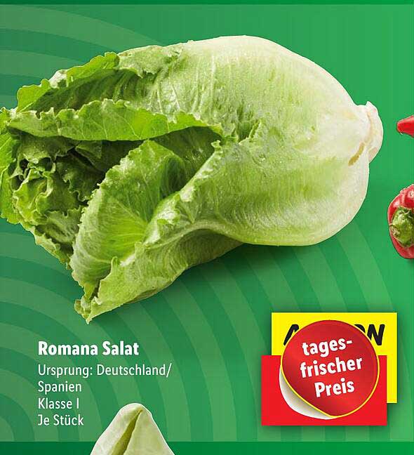 Romana Salat Angebot Bei Lidl 1Prospekte De