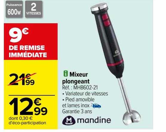 Promo Mixeur Plongeant Mandine Chez Carrefour ICatalogue Fr