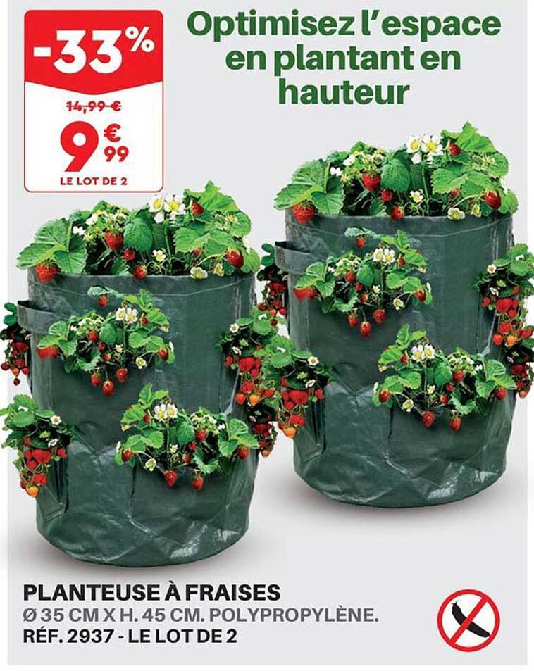 Promo Planteuse A Fraises Chez Shopix ICatalogue Fr