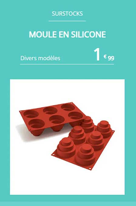 Promo Moule En Silicone Chez NOZ ICatalogue Fr