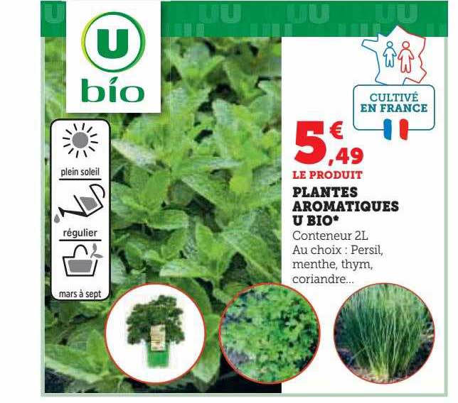 Promo Plantes Aromatiques U Bio Chez Hyper U ICatalogue Fr