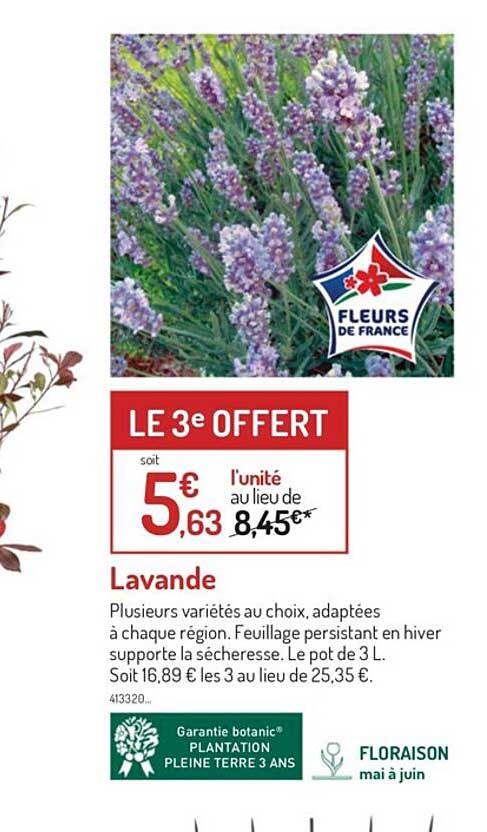 Promo Lavande Chez Botanic ICatalogue Fr