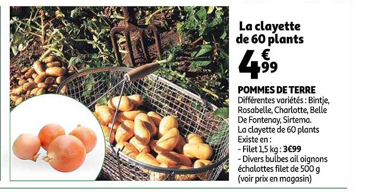 Offre Pommes De Terre Chez Auchan