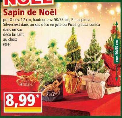 Promo Sapin De Noël chez Norma iCatalogue fr