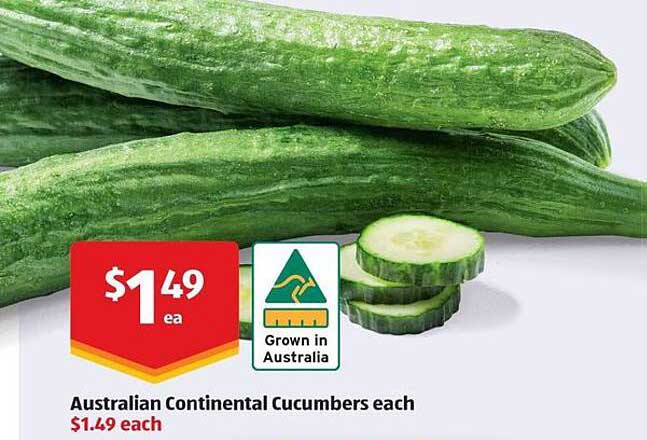 Australian Continental Cucumbers each