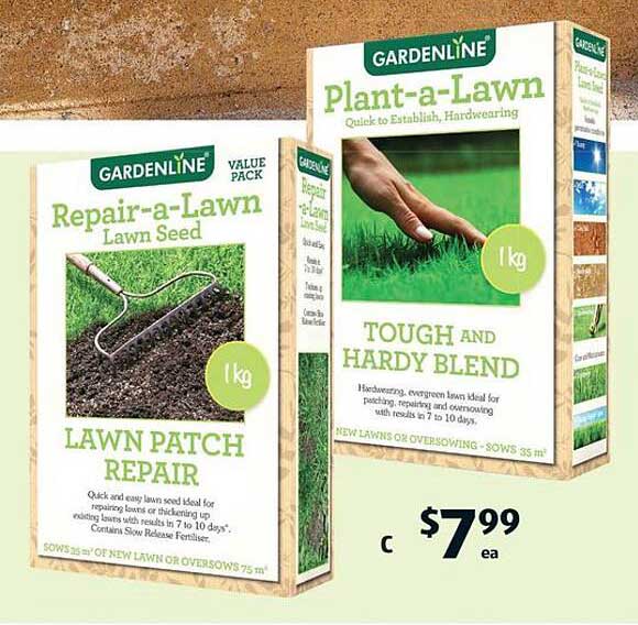 GARDENLINE Repair-a-Lawn Lawn Seed