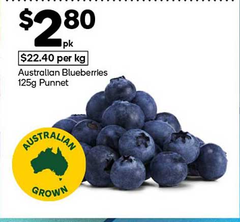 Australian Blueberries 125g Punnet