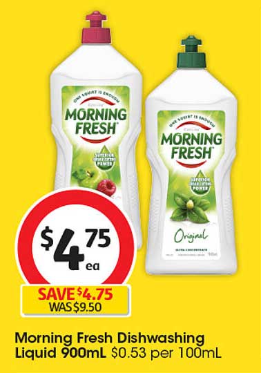 Morning Fresh Dishwashing Liquid