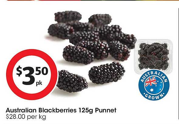 Australian Blackberries Punnet