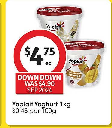 Yoplait Yoghurt 1kg