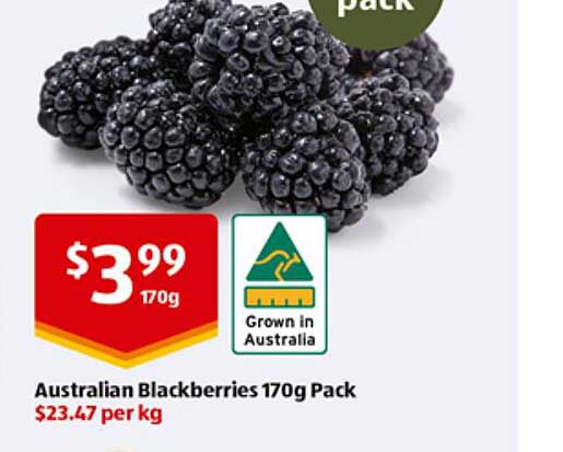 Australian Blackberries 170g Pack