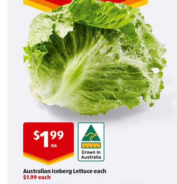 Australian Iceberg Lettuce each