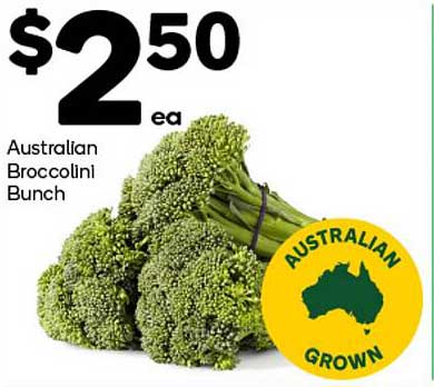 Australian Broccolini Bunch