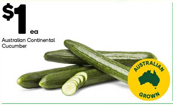 Australian Continental Cucumber