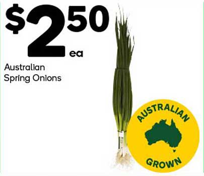 Australian Spring Onions