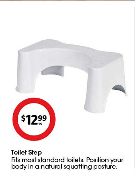 Toilet Step