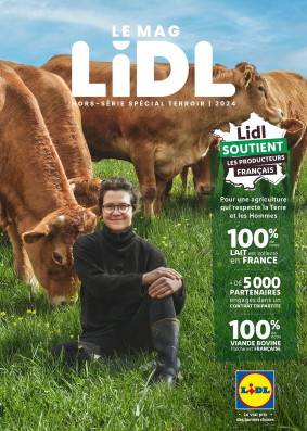 Lidl Catalogue