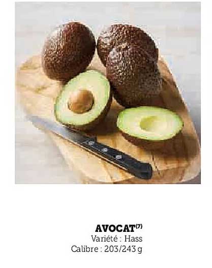 AVOCAT