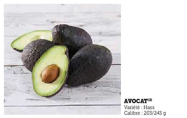 AVOCAT(2)