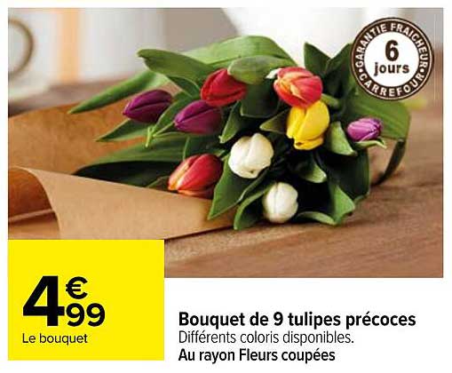 Bouquet de 9 tulipes précoces