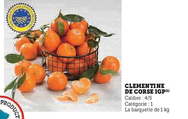 CLEMENTINE DE CORSE IGP