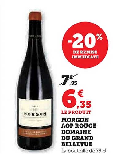 MORGON AOP ROUGE DOMAINE DU GRAND BELLEVUE