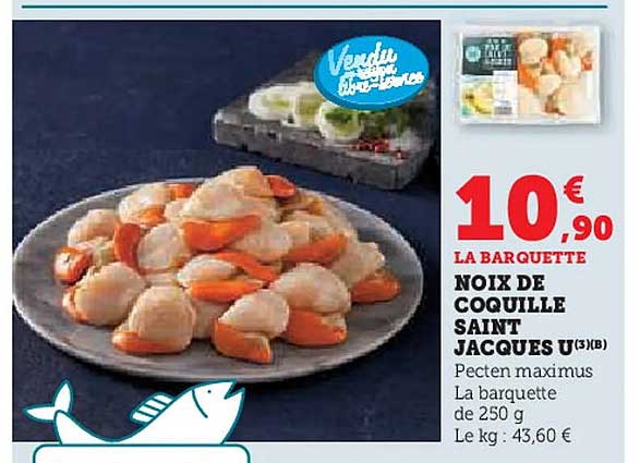 NOIX DE COQUILLE SAINT JACQUES U(3)(B)