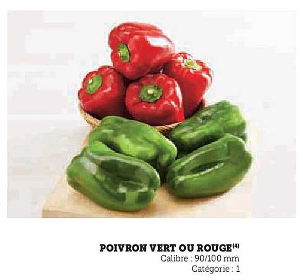 POIVRON VERT OU ROUGE(4)