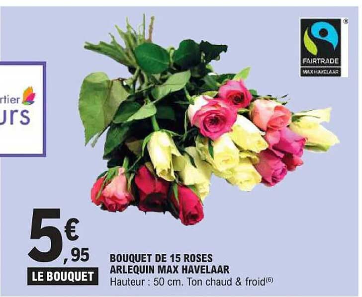 BOUQUET DE 15 ROSES ARLEQUIN MAX HAVELAAR