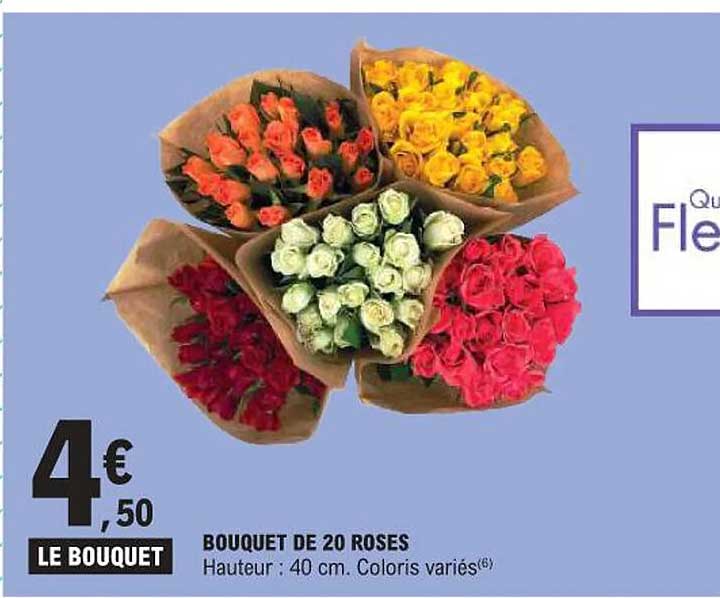 BOUQUET DE 20 ROSES