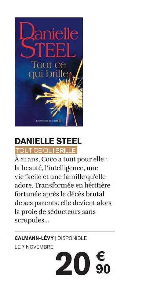 DANIELLE STEEL  
TOUT CE QUI BRILLE