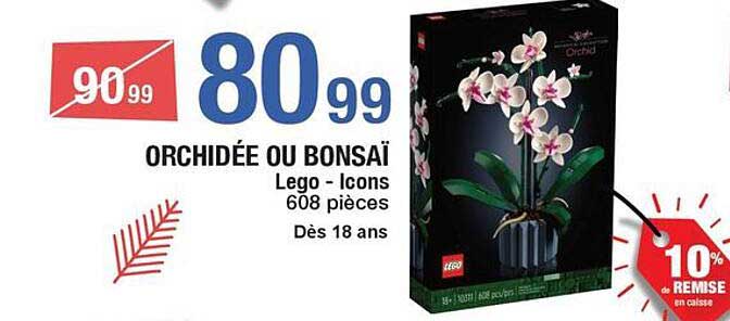 ORCHIDÉE OU BONSAÏ