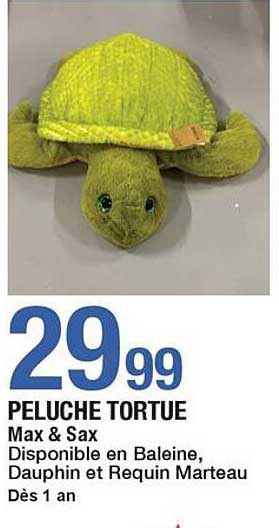 PELUCHE TORTUE