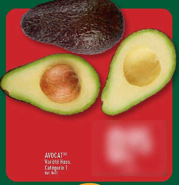 AVOCAT(A)