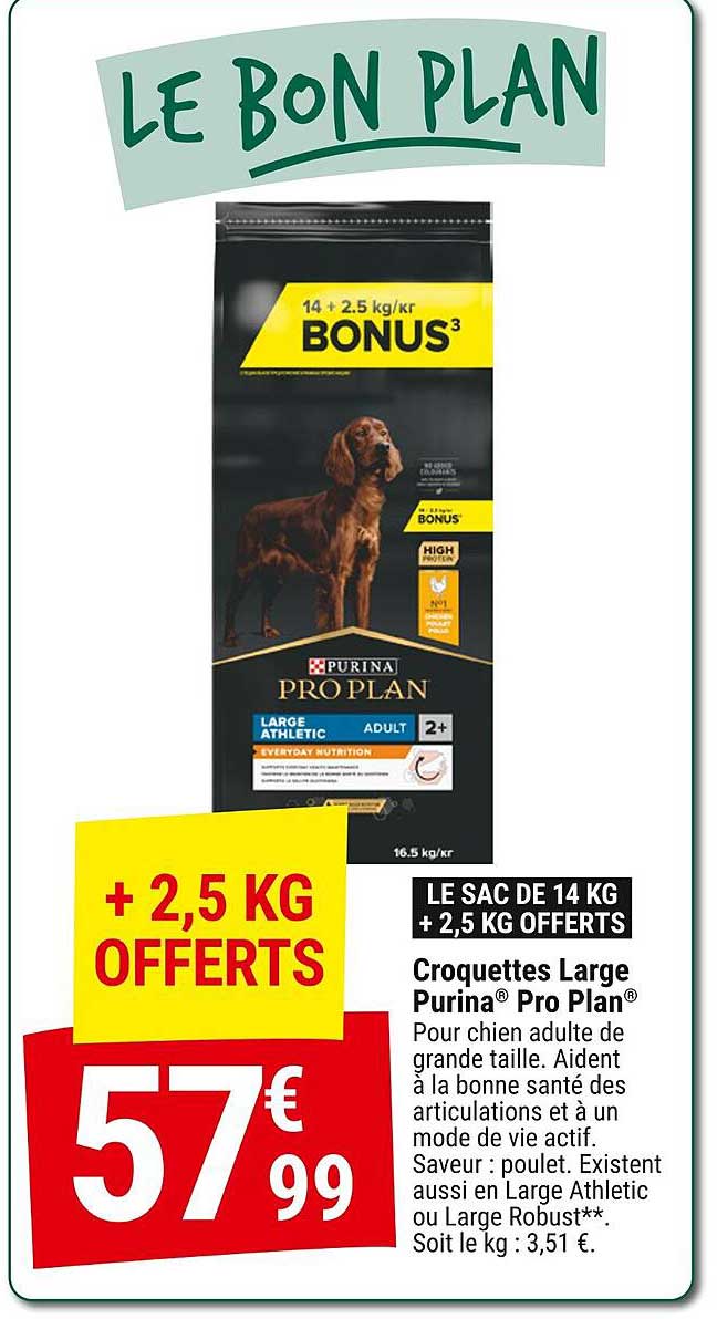 Croquettes Large Purina® Pro Plan®