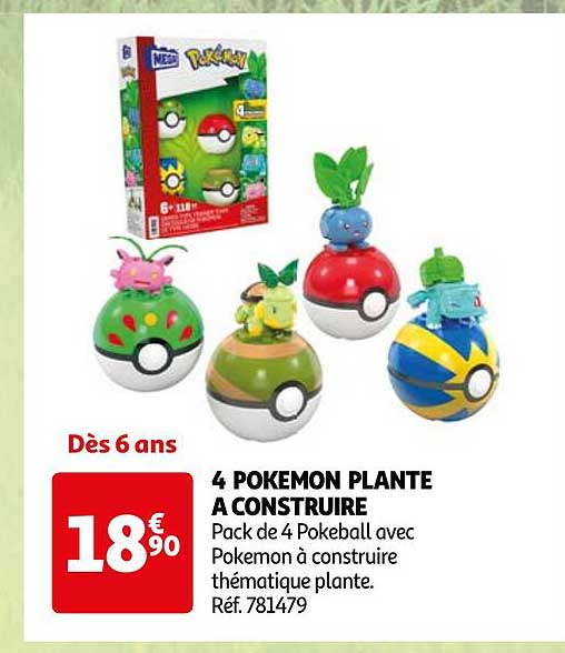 4 POKEMON PLANTE A CONSTRUIRE