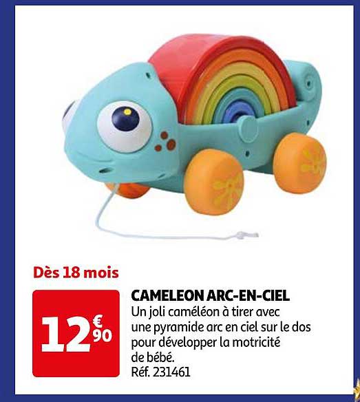 CAMELEON ARC-EN-CIEL