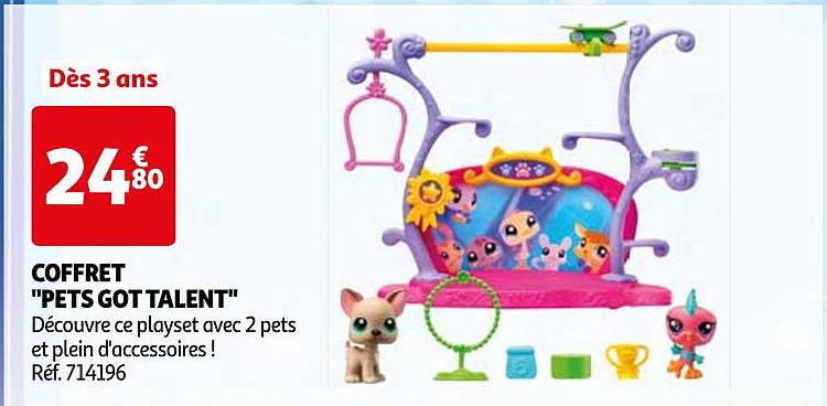 COFFRET "PETS GOT TALENT"