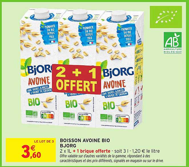 BOISSON AVOINE BIO BJORG