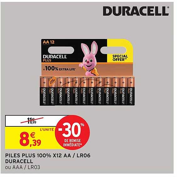 PILLES PLUS 100% X12 AA / LR06 DURACELL