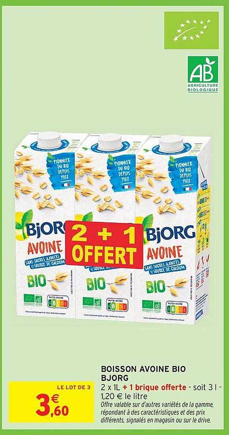 BOISSON AVOINE BIO BJORG