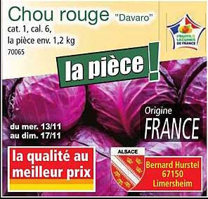 Chou rouge "Davaro"