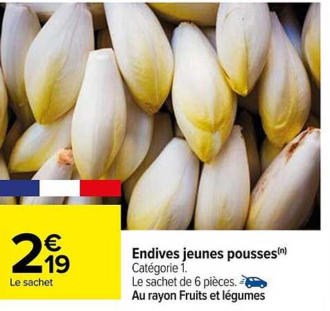 Endives jeunes pousses