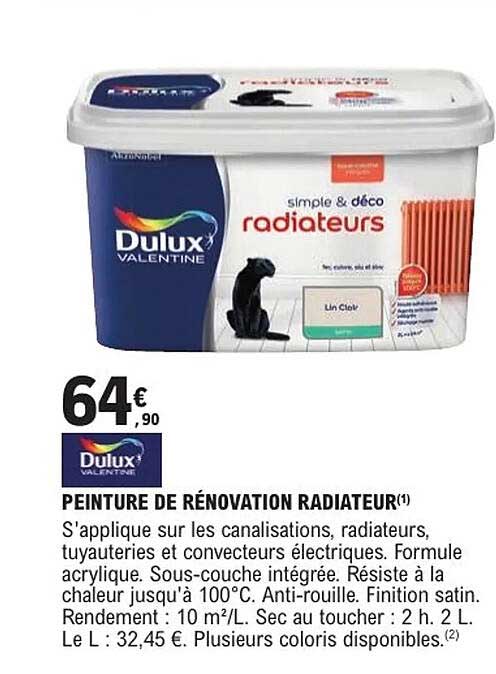 PEINTURE DE RÉNOVATION RADIATEUR