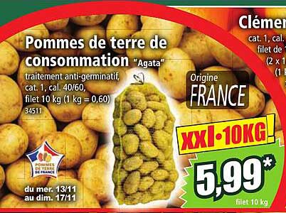 Pommes de terre de consommation "Agata"