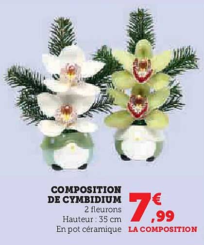 COMPOSITION DE CYMBIDIUM