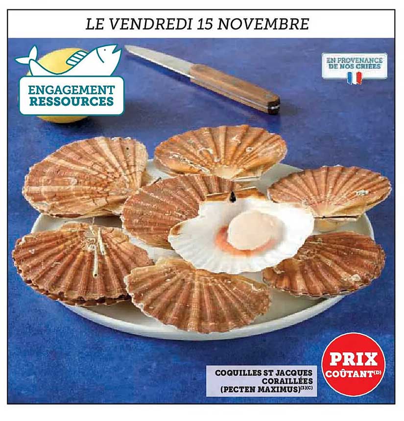 COQUILLES ST JACQUES CORAILLÉES (PECTEN MAXIMUS)