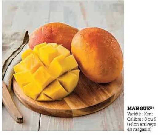 MANGUE